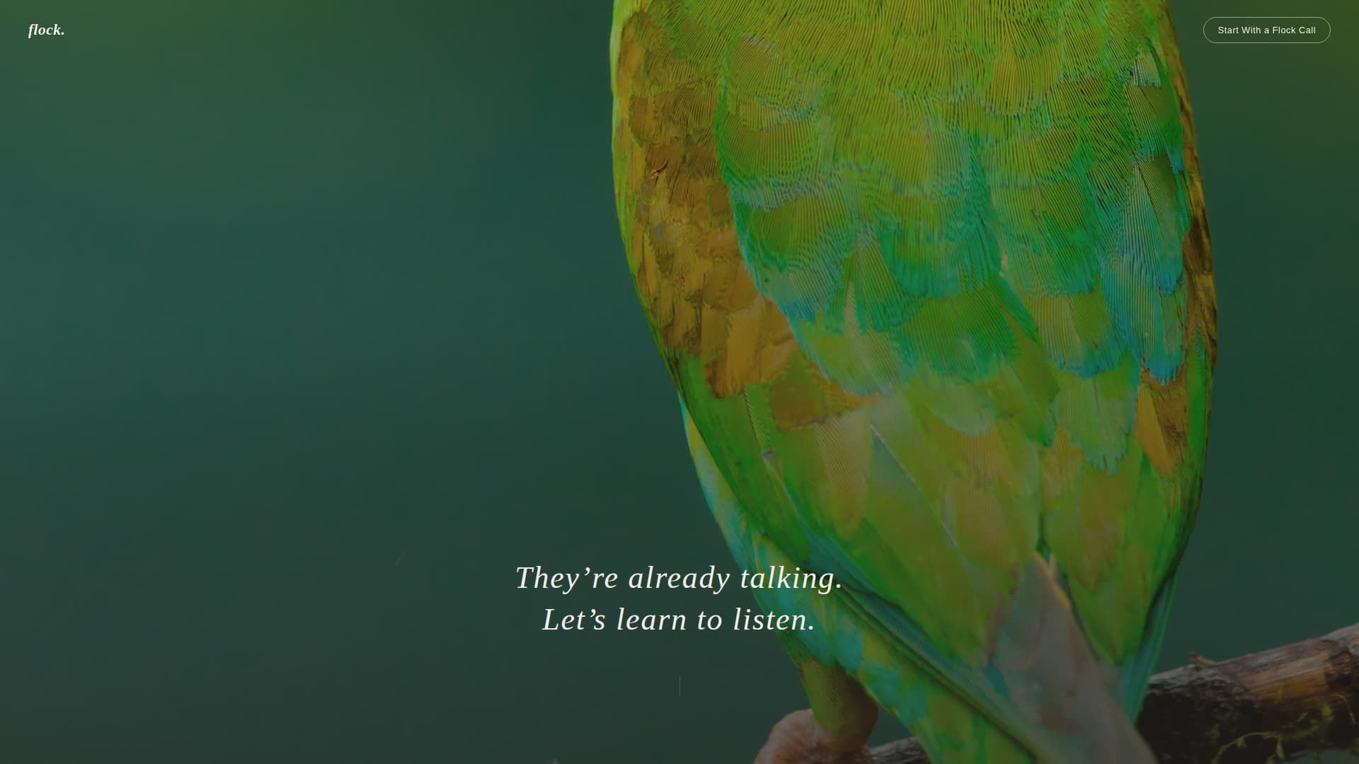 Flock - Trusted Birdbehavior Landing Page Template