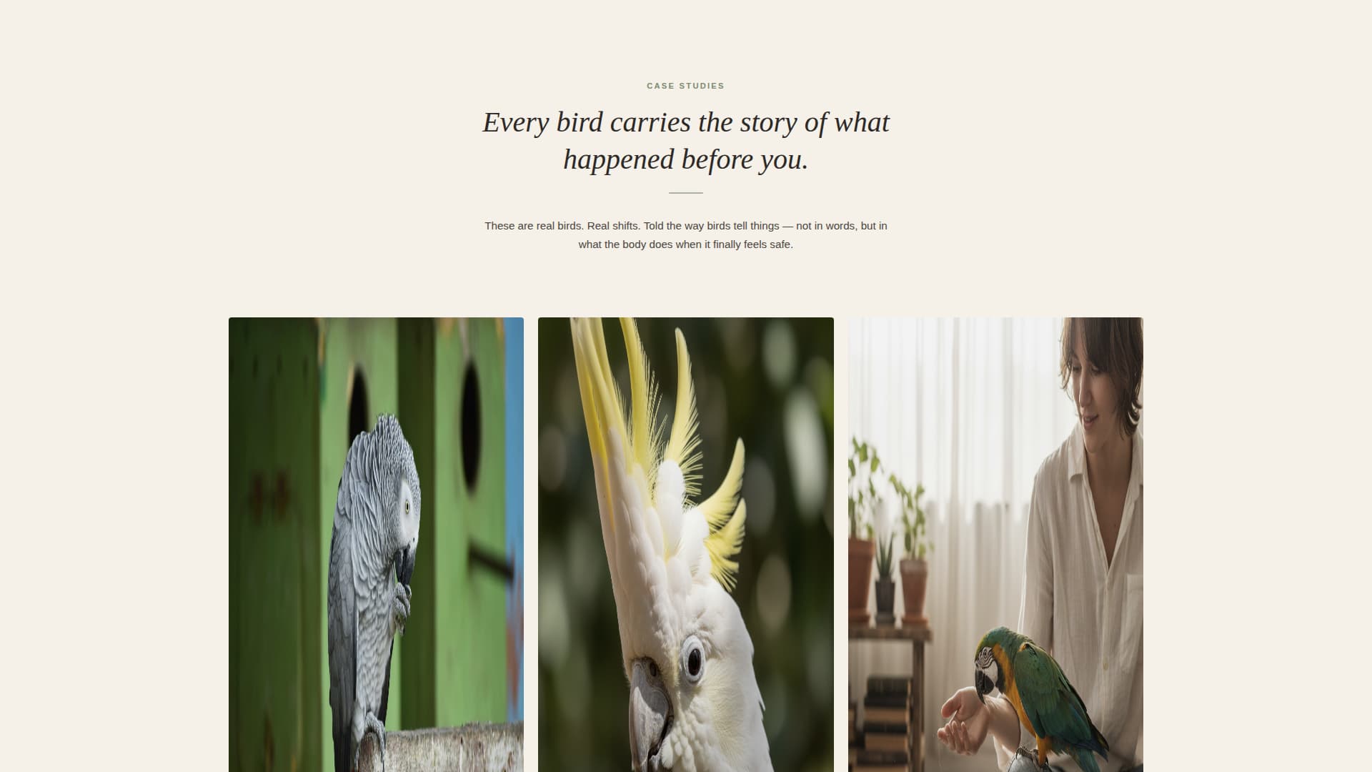 Flock - Trusted Birdbehavior Landing Page Template
