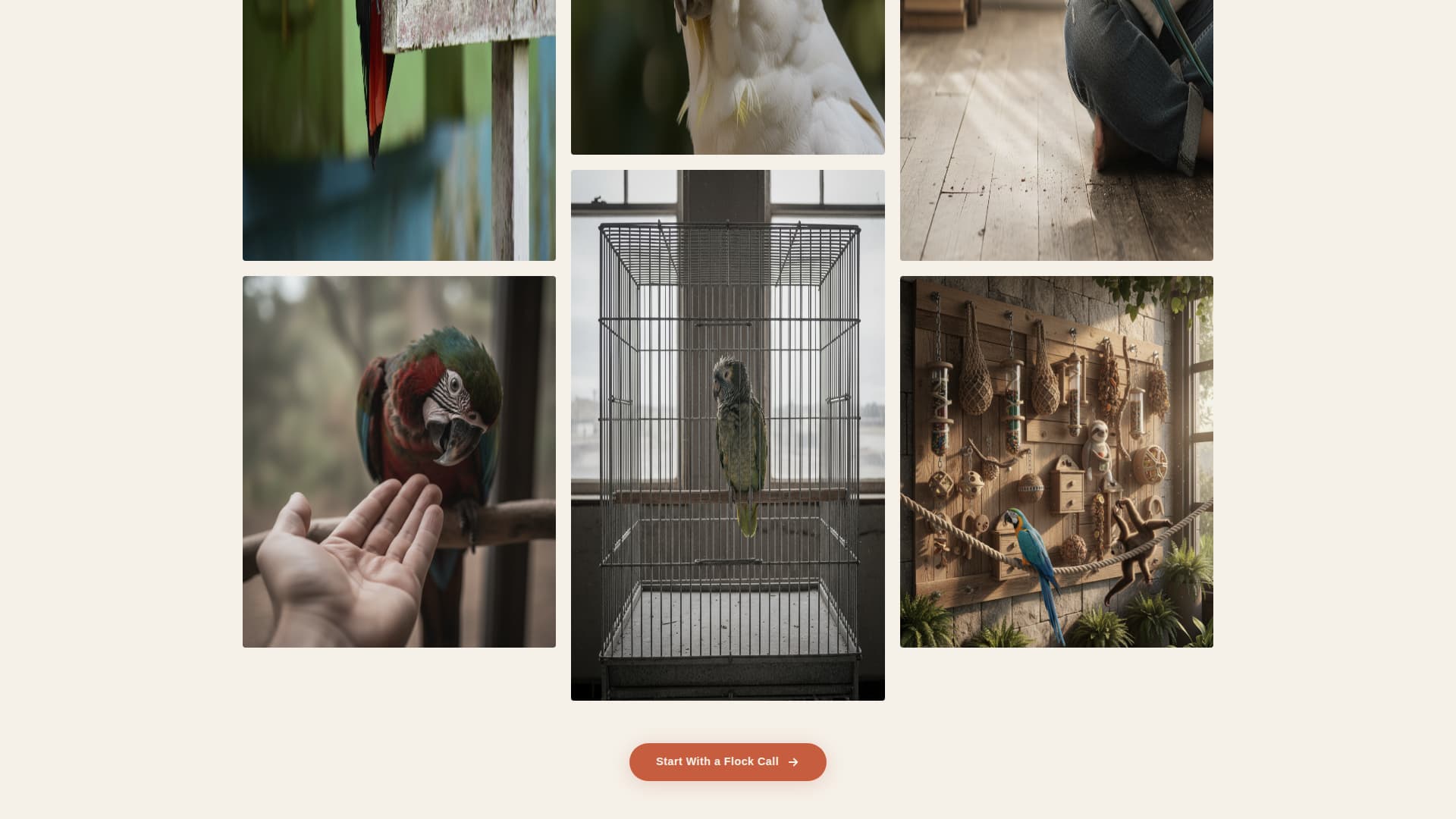 Flock - Trusted Birdbehavior Landing Page Template