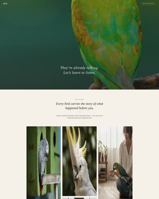 Flock - Trusted Birdbehavior Landing Page Template