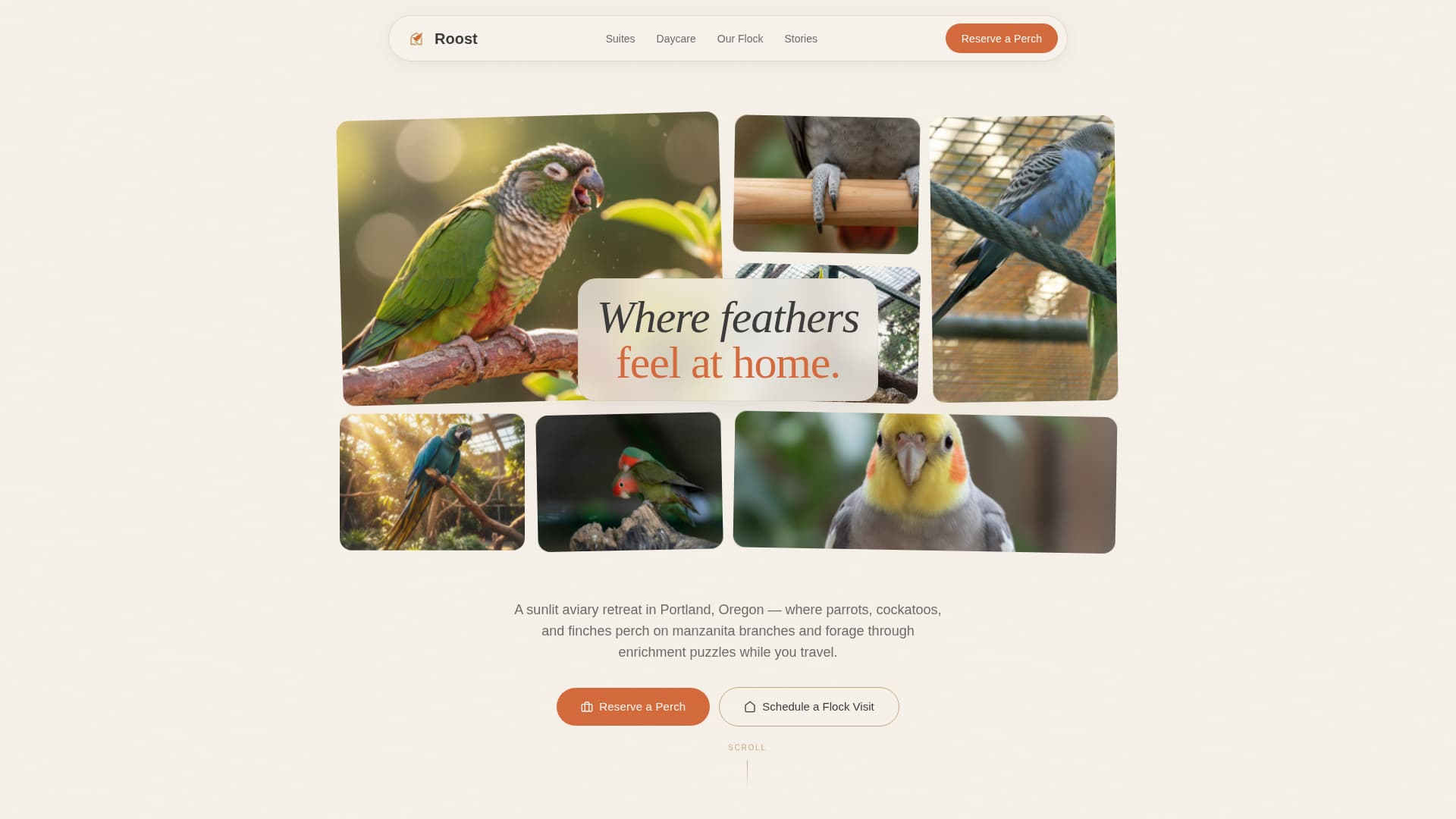 Roost - Trusted Birdboarding Landing Page Template