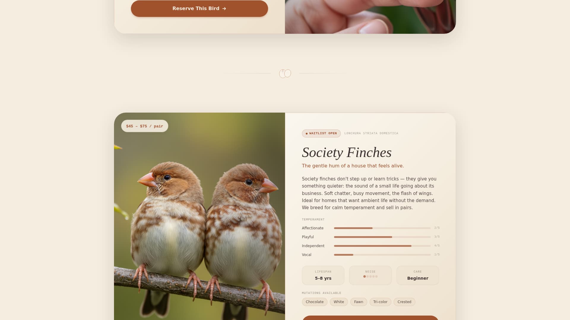 Bird - Highconverting Breeder Landing Page Template