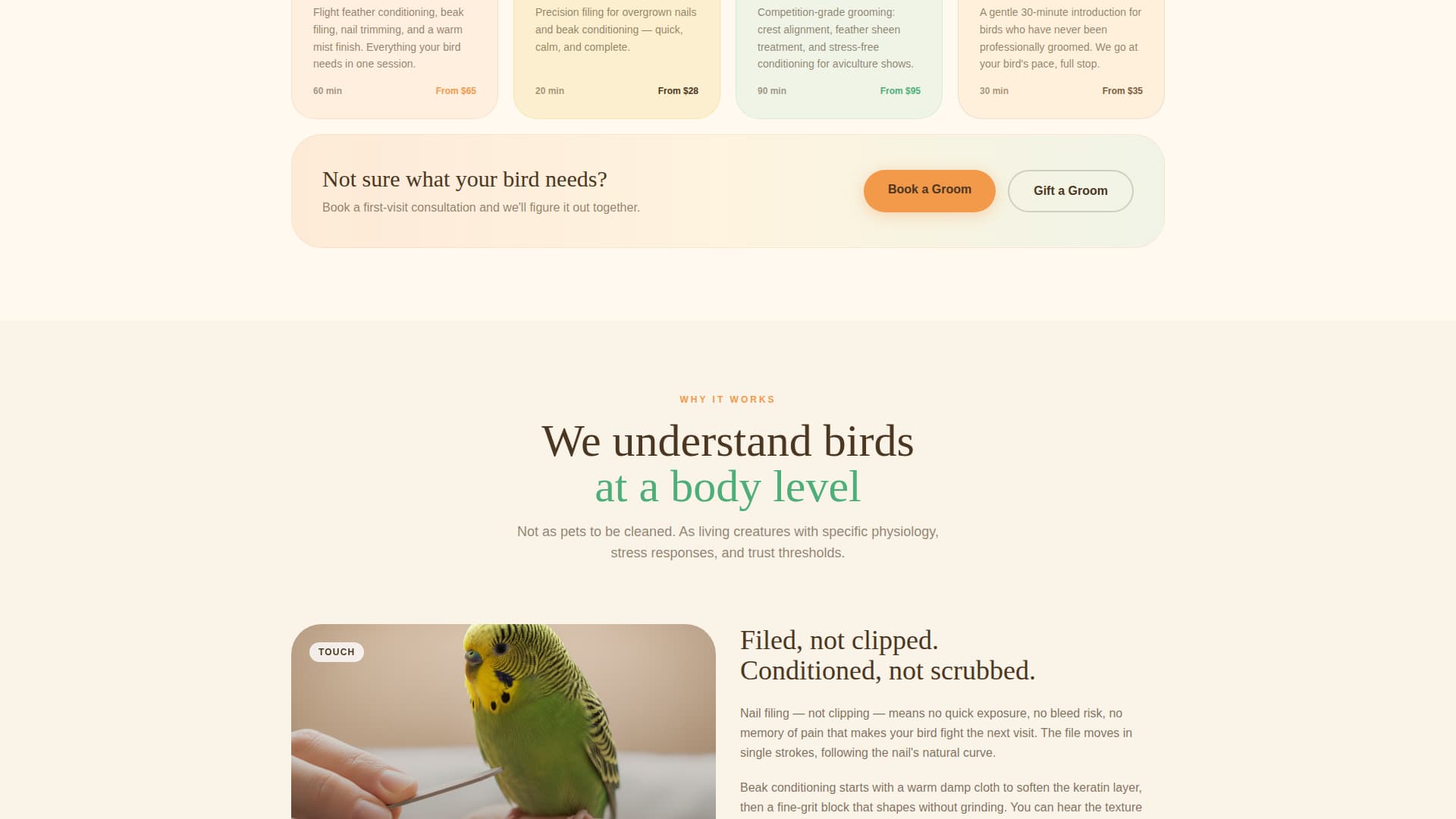 Bird Booking Website Template