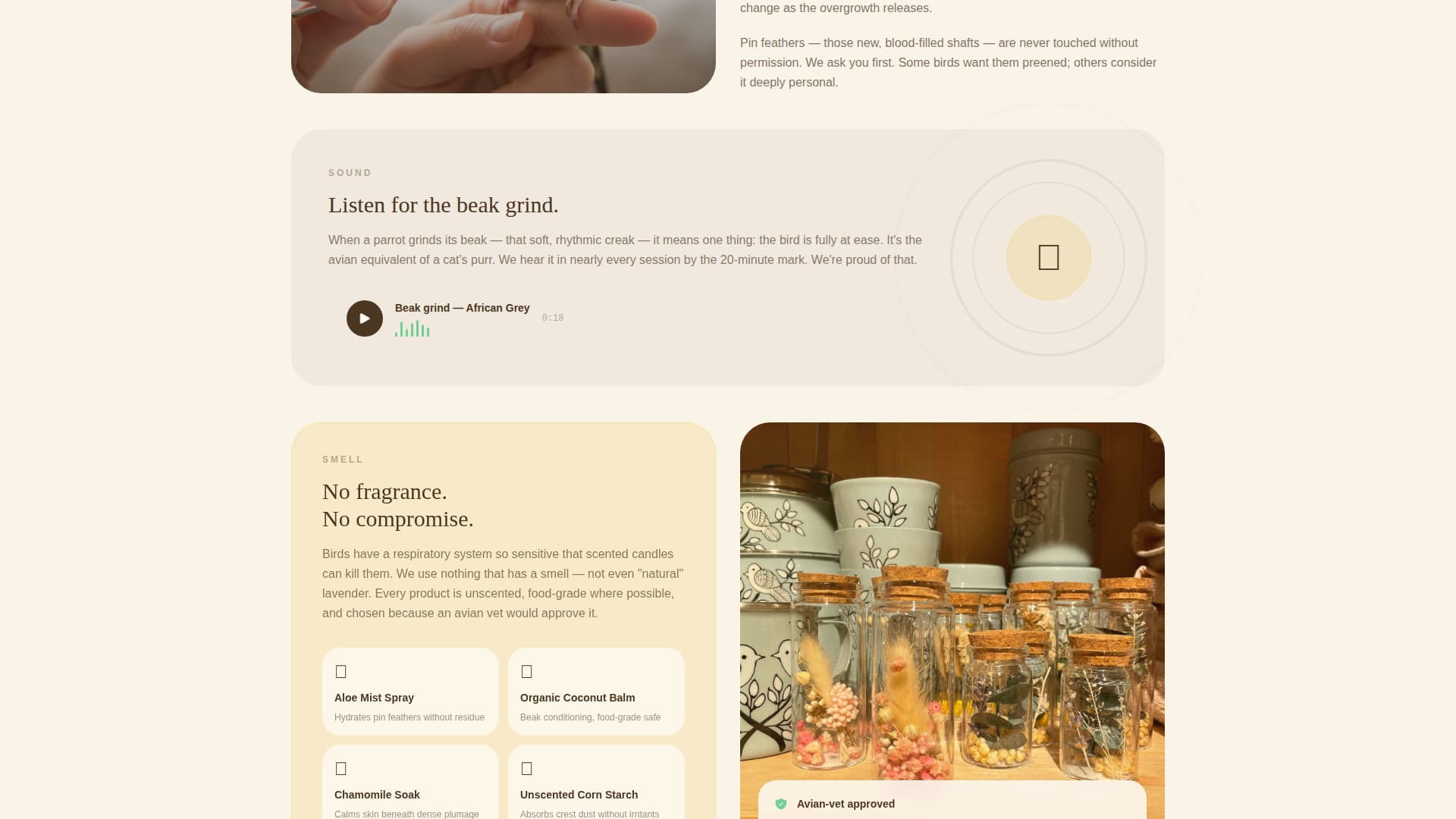 Bird Booking Website Template