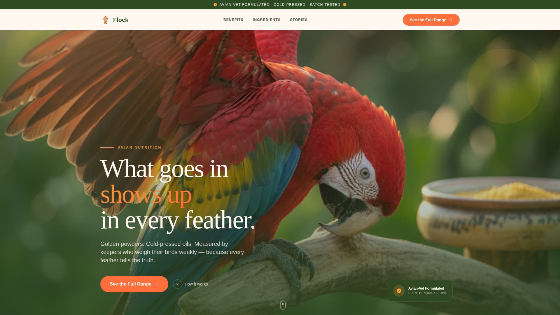 Flock - Vibrant Aviary Landing Page Template