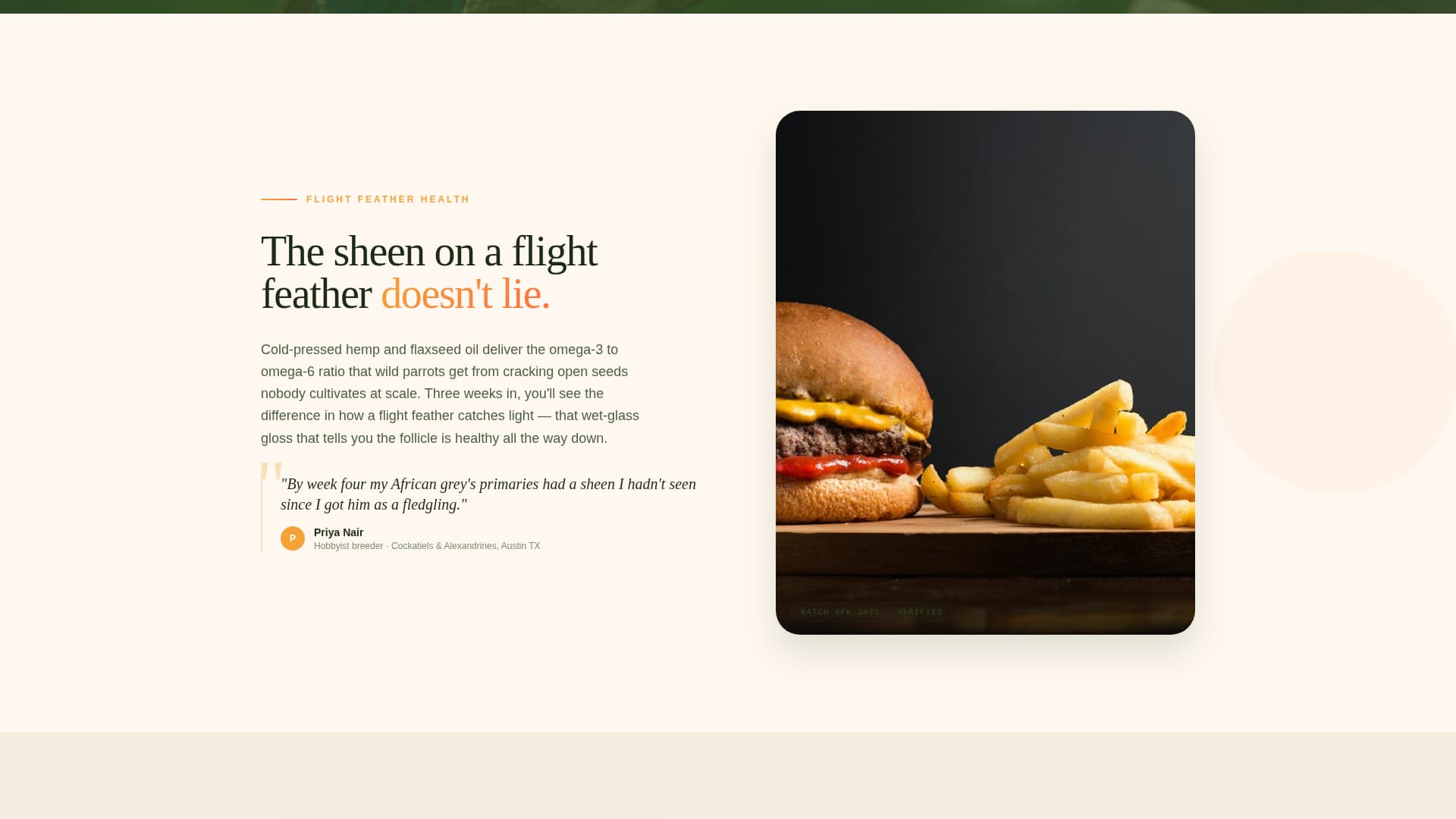 Flock - Vibrant Aviary Landing Page Template