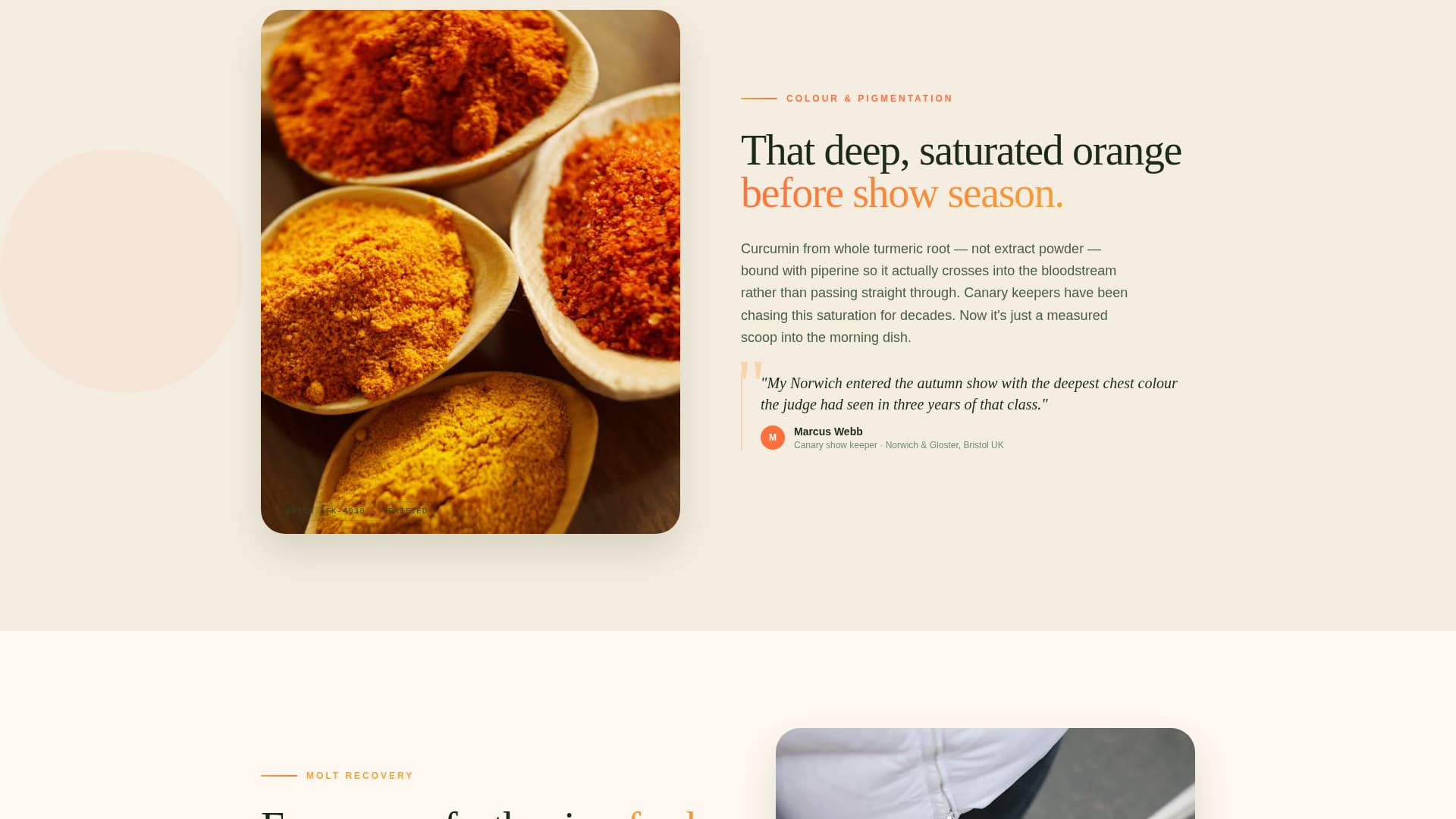 Flock - Vibrant Aviary Landing Page Template