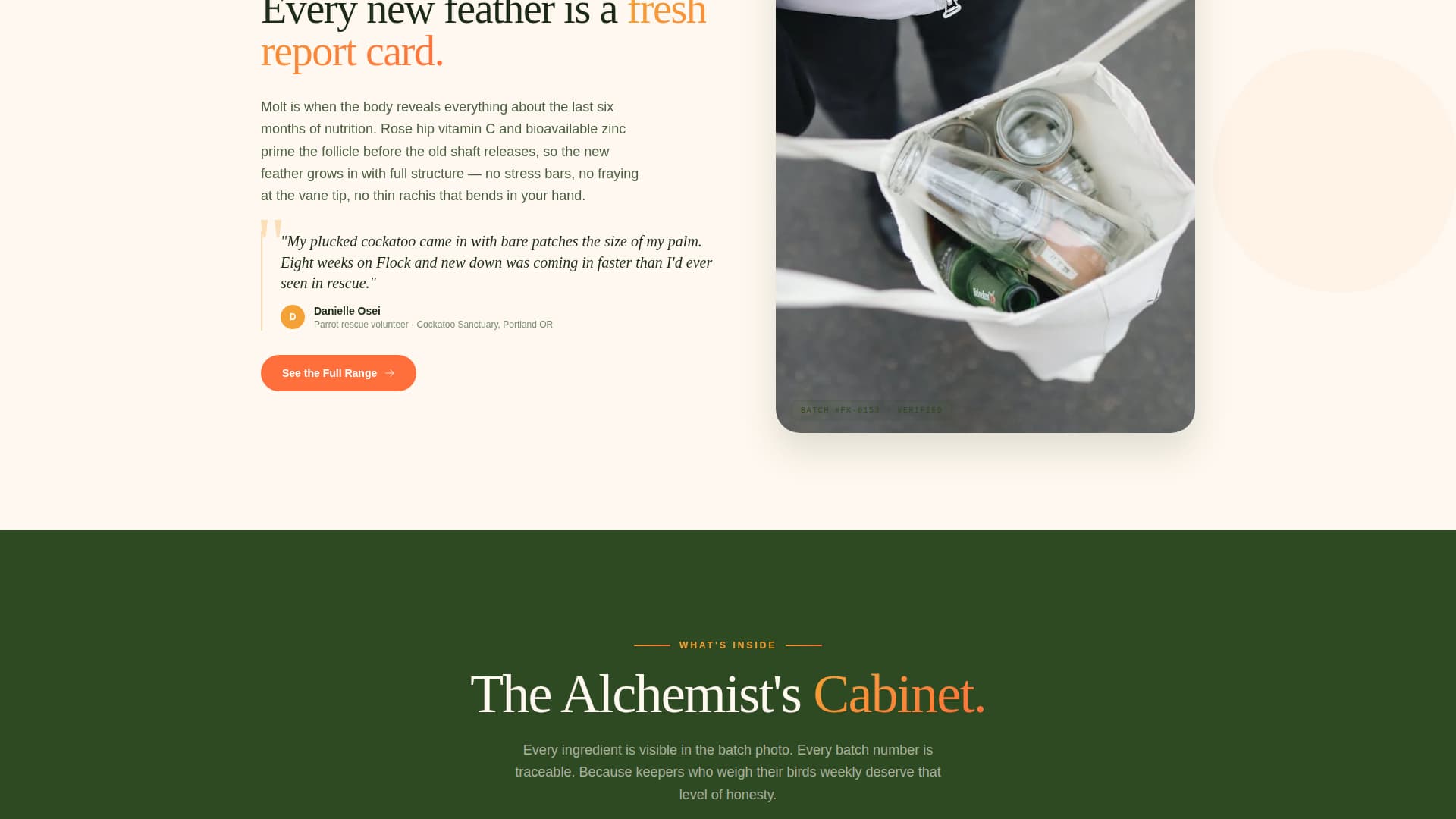 Flock - Vibrant Aviary Landing Page Template