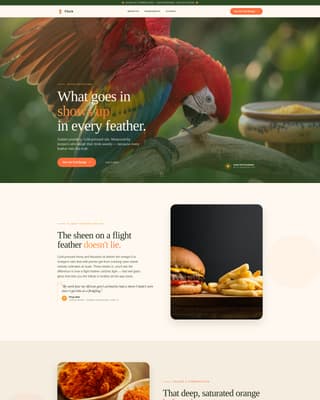 Flock - Vibrant Aviary Landing Page Template