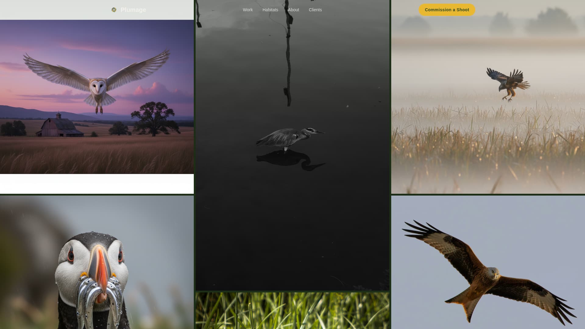 Plumage - Breathtaking Birdphotography Landing Page Template