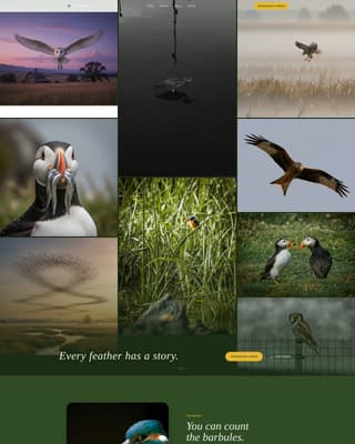 Plumage - Breathtaking Birdphotography Landing Page Template