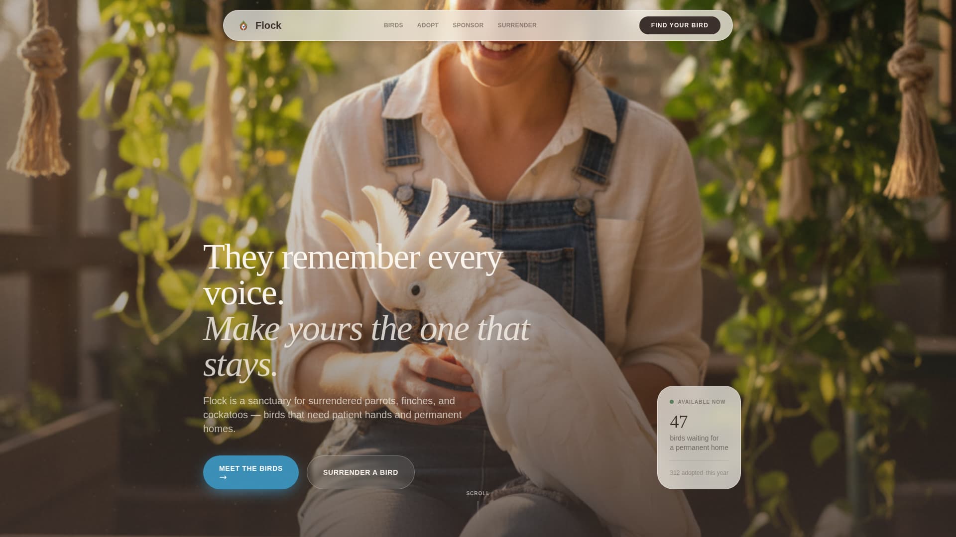 Flock - Heartwarming Birdrescue Landing Page Template