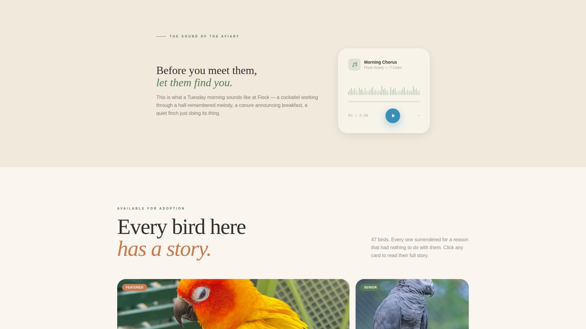 Flock - Heartwarming Birdrescue Landing Page Template