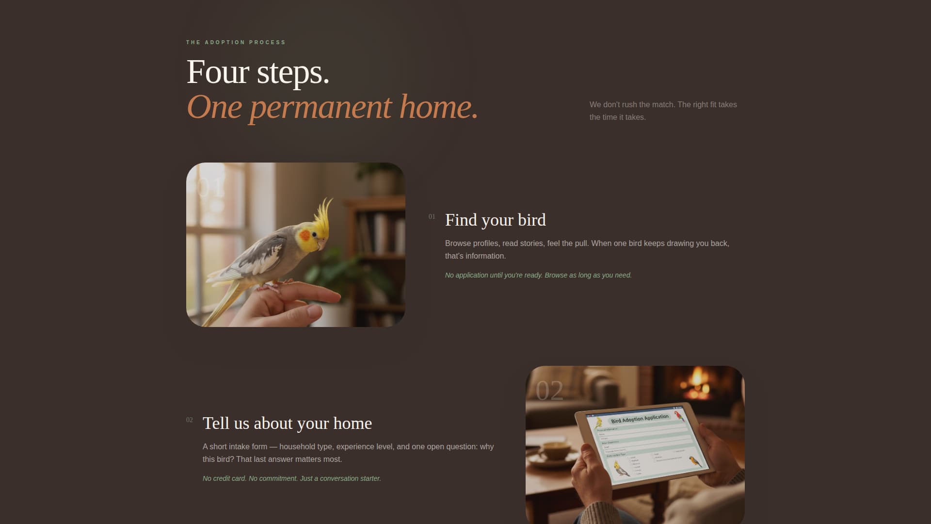 Flock - Heartwarming Birdrescue Landing Page Template