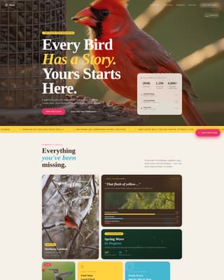 Flock - Vibrant Birding Landing Page Template