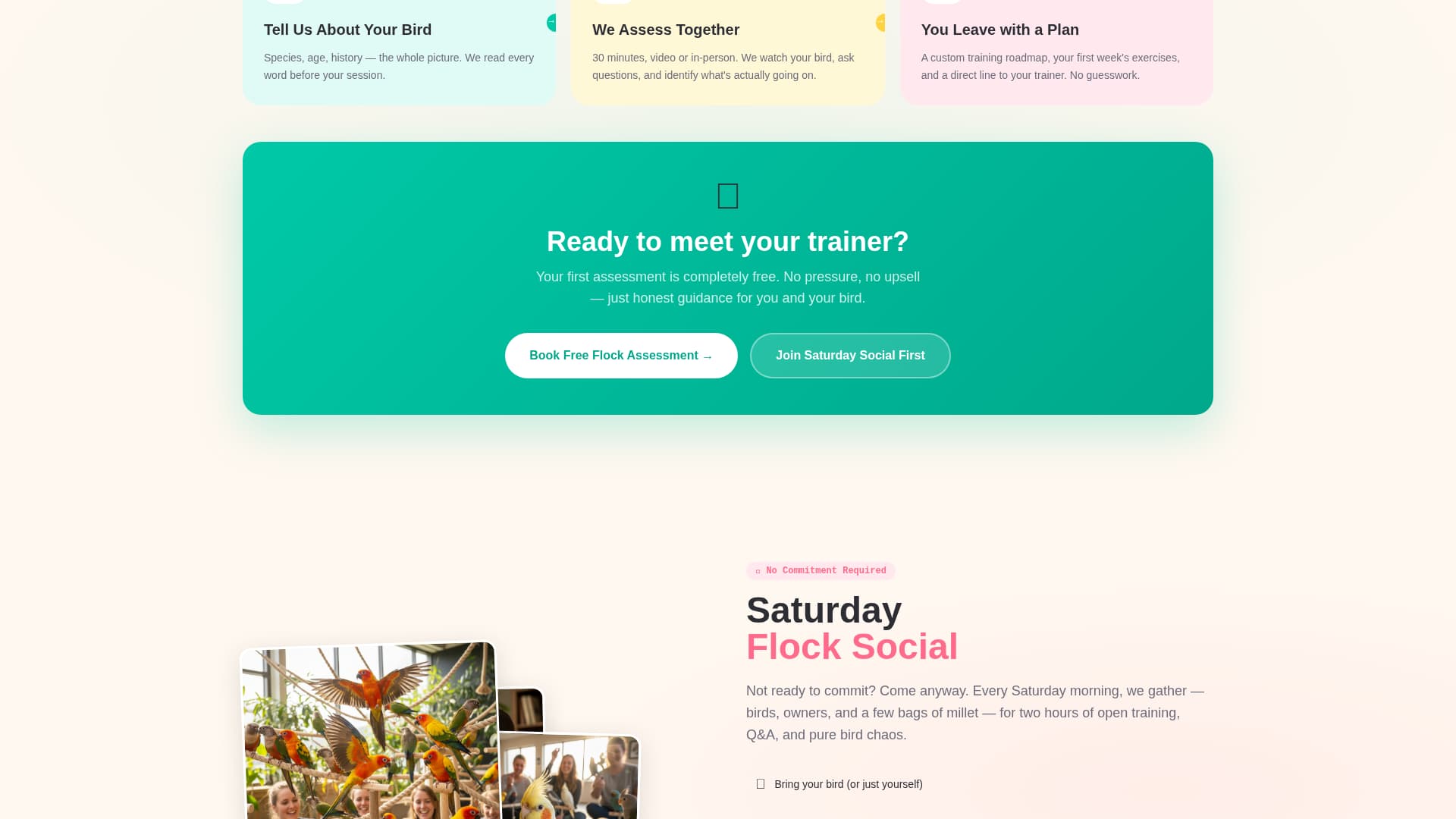Flock - Joyful Birdtraining Landing Page Template