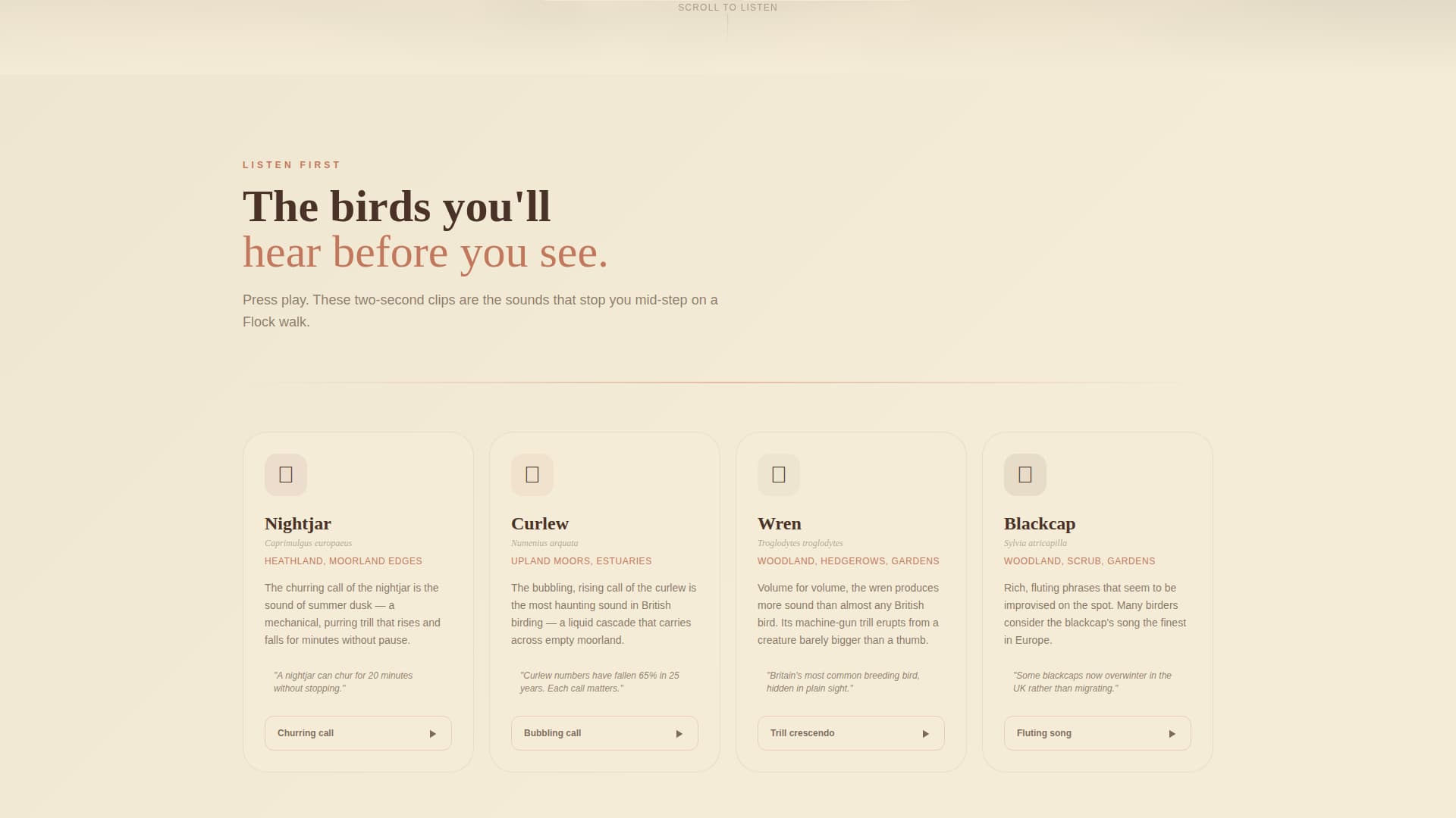 Flock - Immersive Birding Landing Page Template