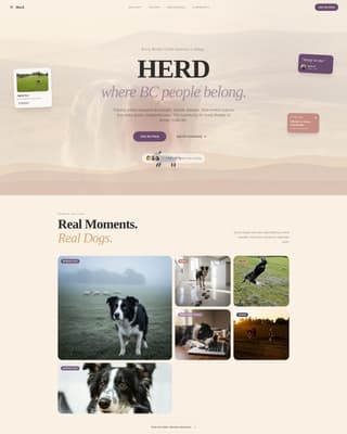 Dog Certified Professional Website Template