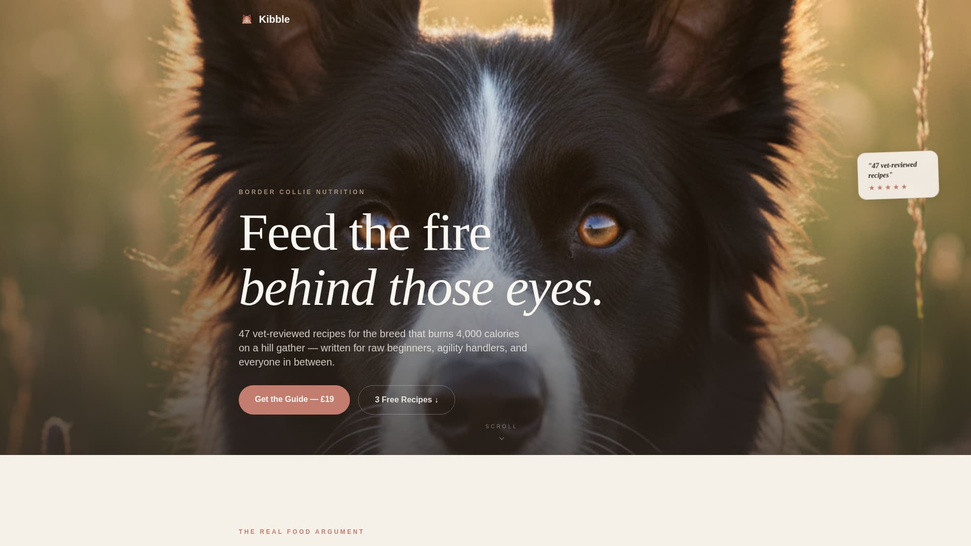 Kibble - Wholesome Bordercollie Landing Page Template