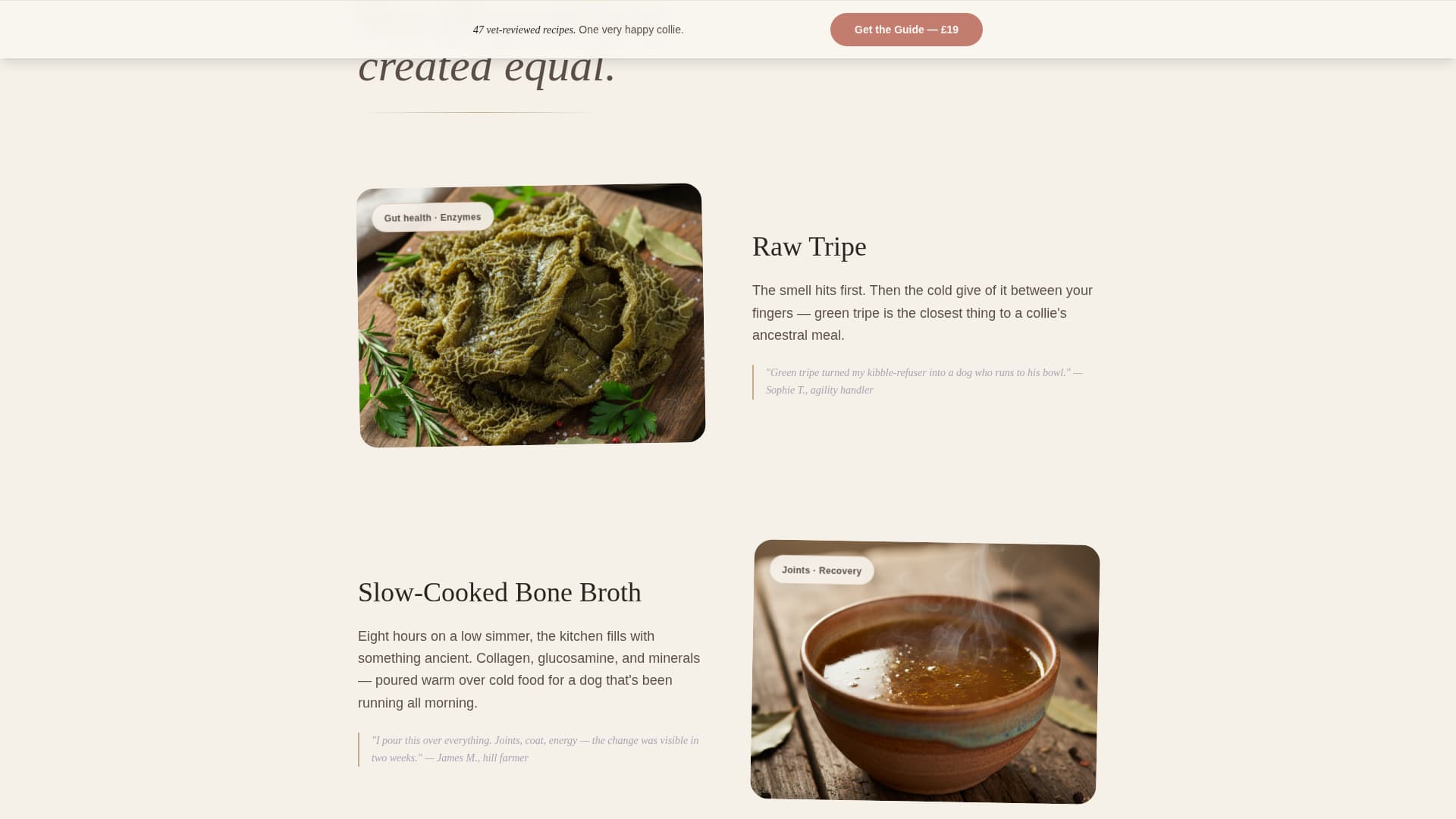 Kibble - Wholesome Bordercollie Landing Page Template
