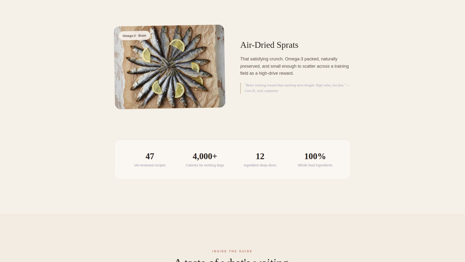 Kibble - Wholesome Bordercollie Landing Page Template