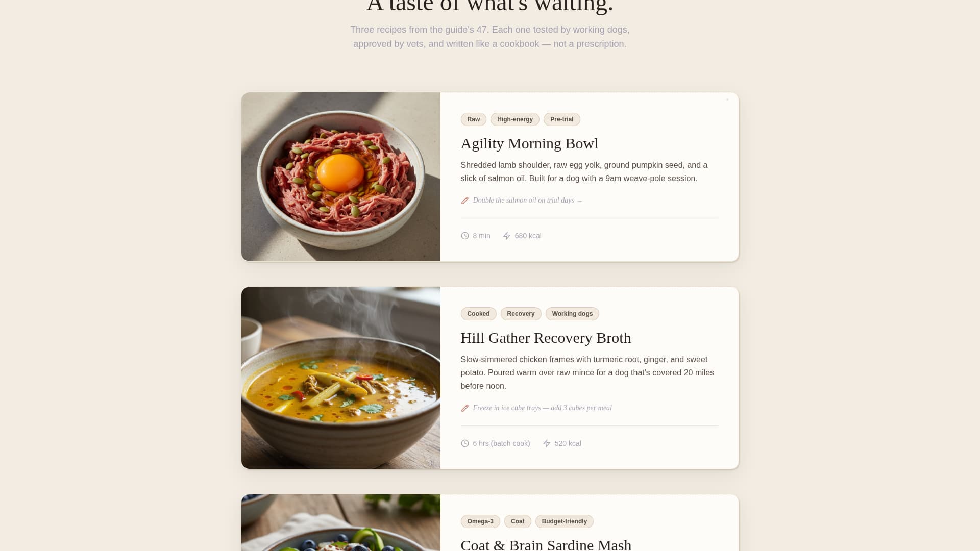 Kibble - Wholesome Bordercollie Landing Page Template