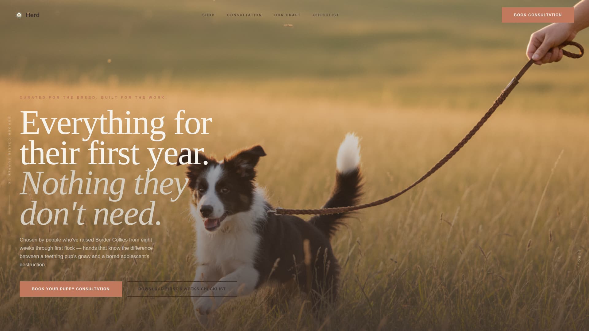 Dog Certified Booking Website Template