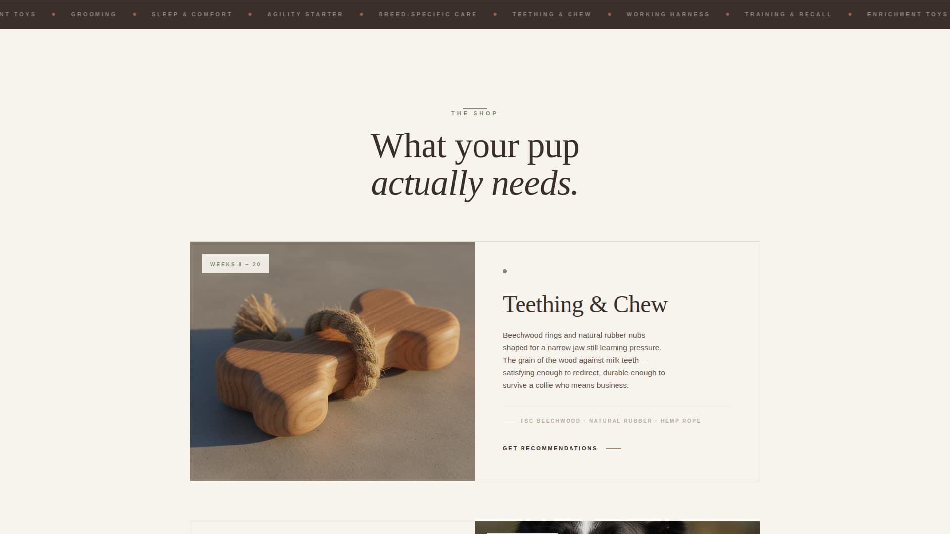 Dog Certified Booking Website Template