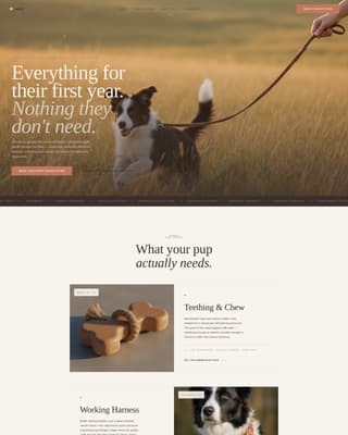 Dog Certified Booking Website Template