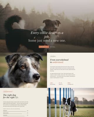 Dog Local Booking Website Template