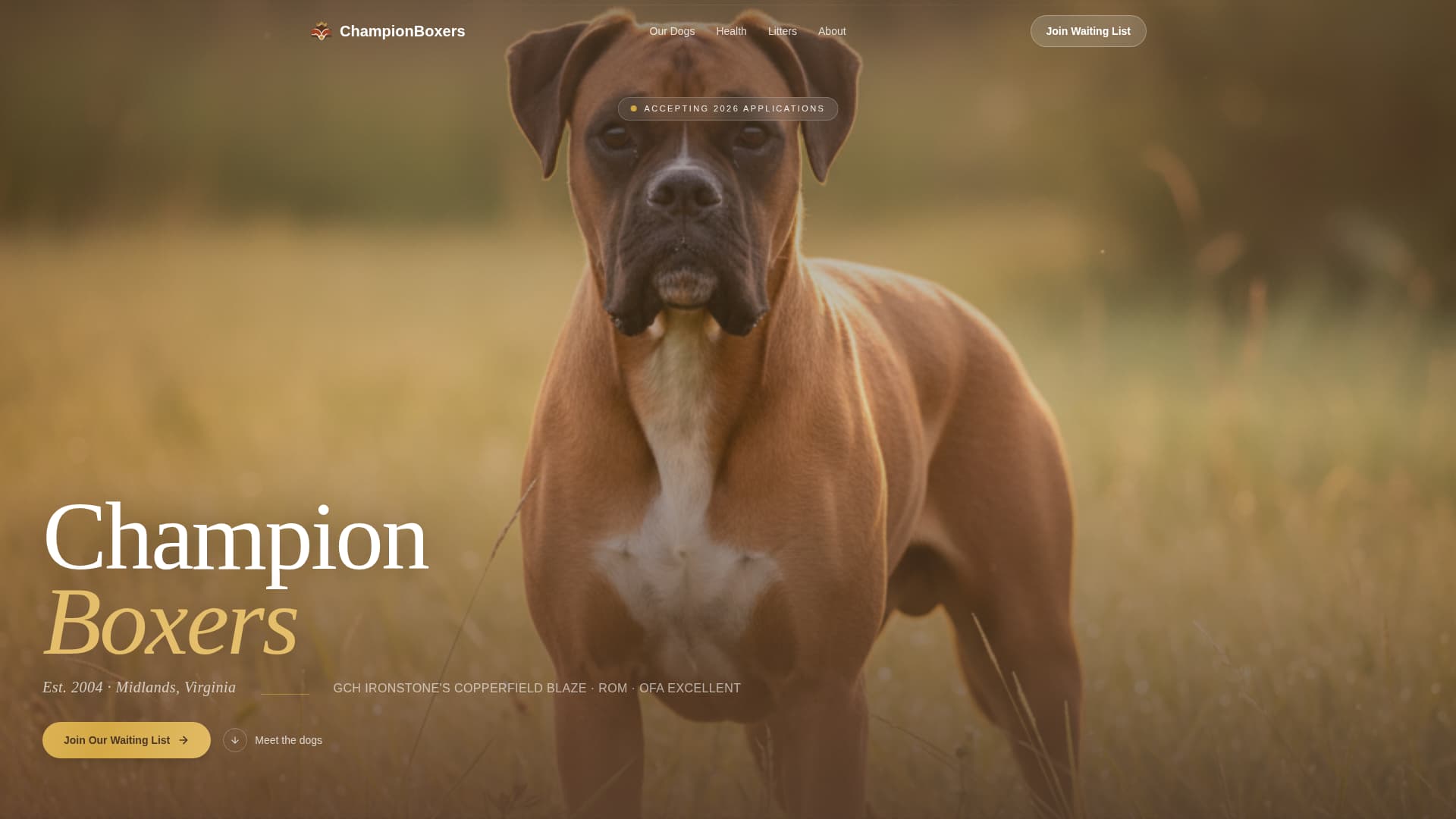 Dog Professional Website Template