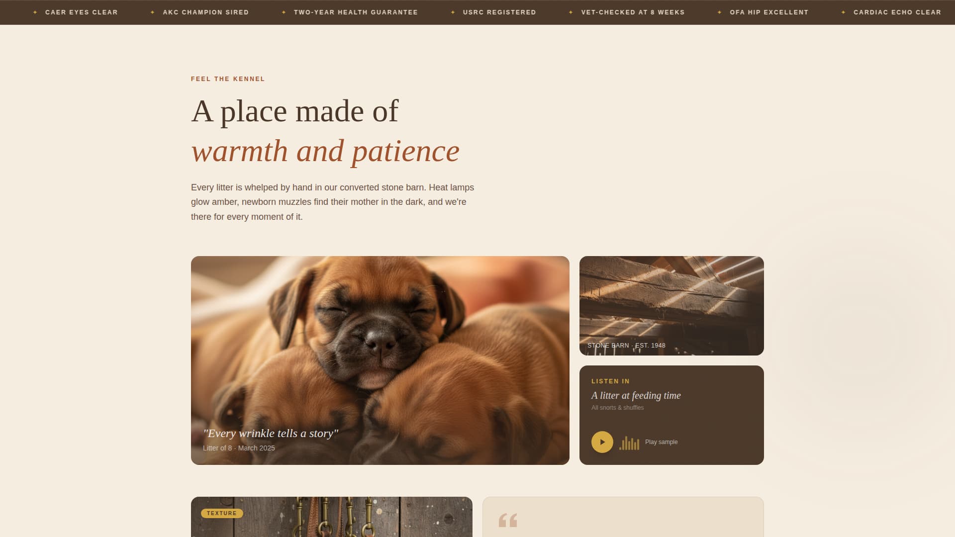 Dog Professional Website Template
