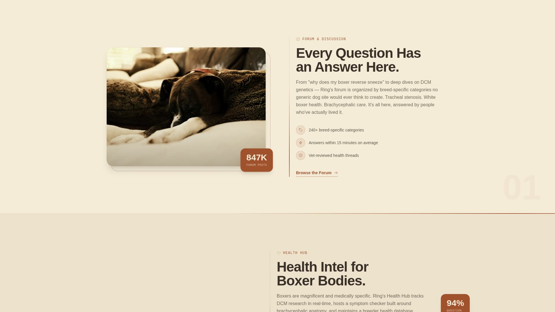 Dog Reviews Website Template