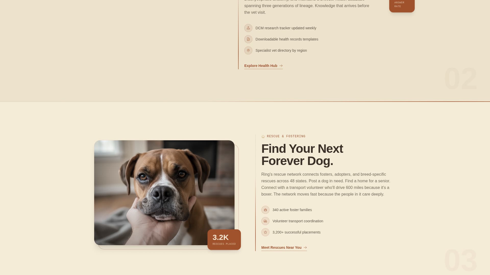 Dog Reviews Website Template