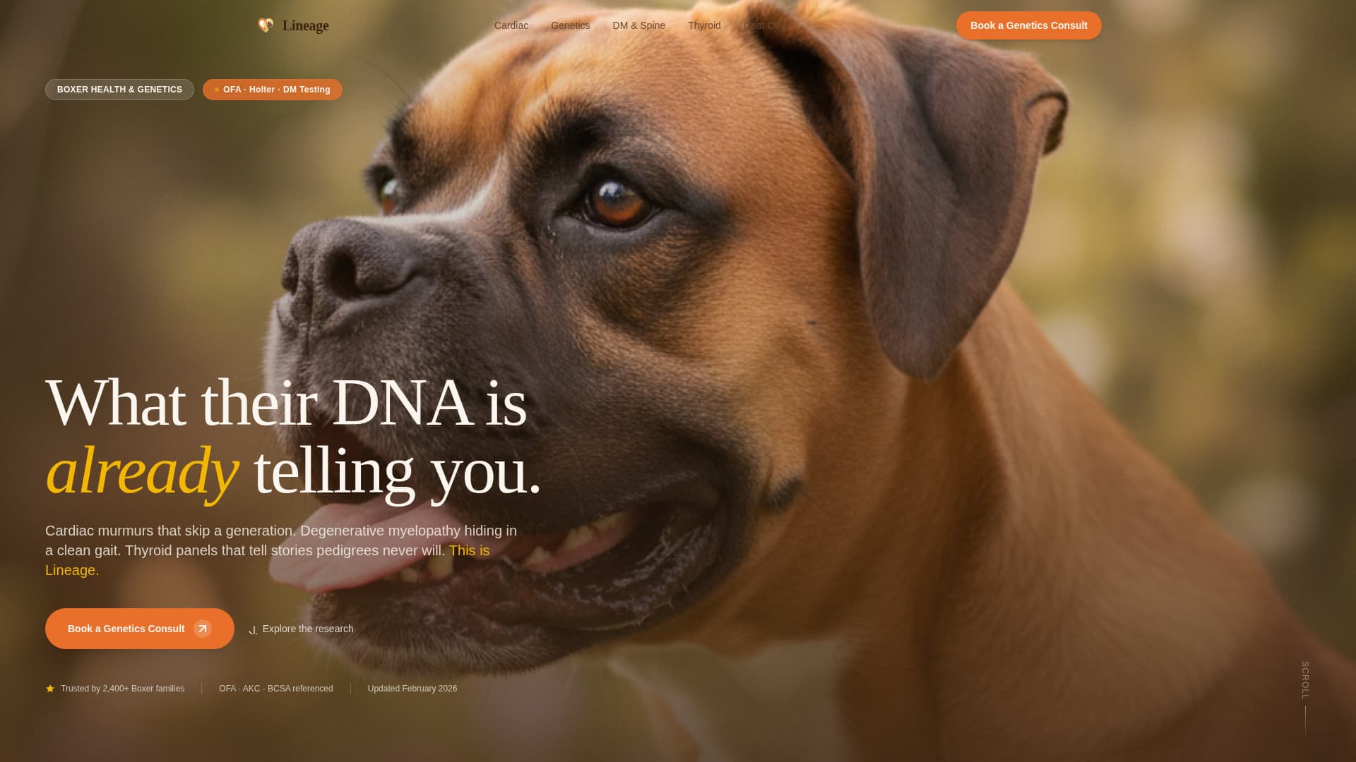 Dog Advanced Booking Website Template