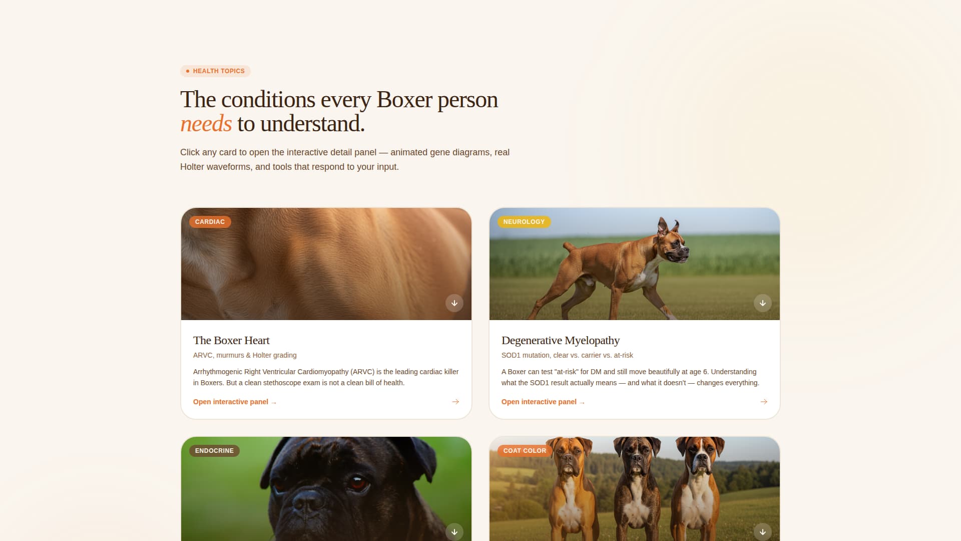 Dog Advanced Booking Website Template