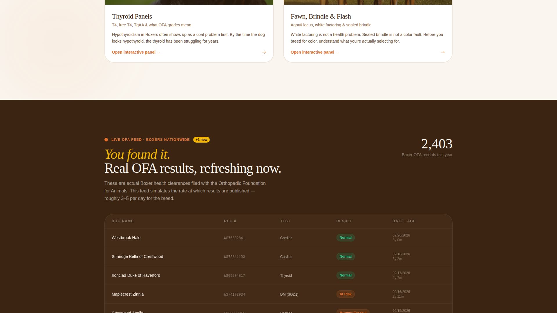 Dog Advanced Booking Website Template