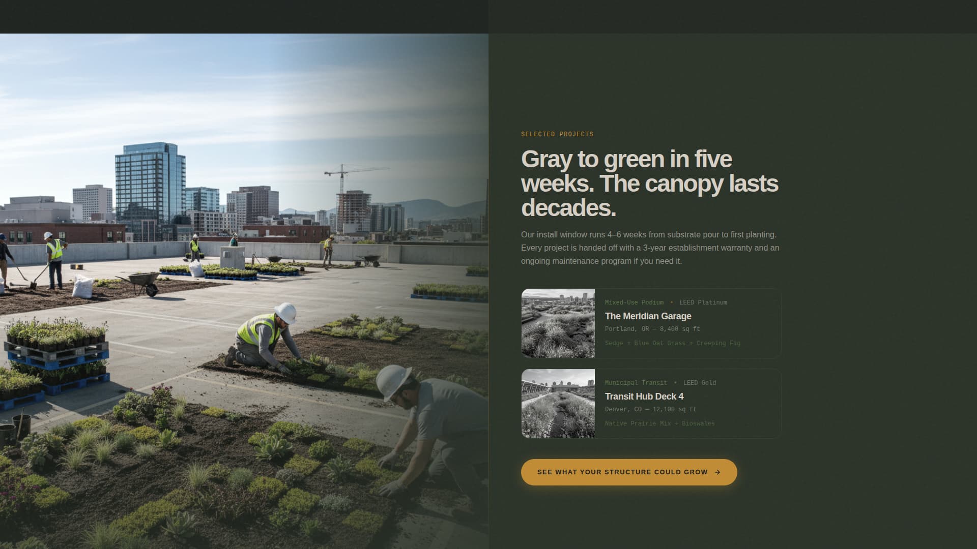 Parking Structure Construction Specialist Professional Website Template