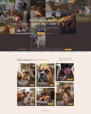 Dog Specialist Professional Website Template