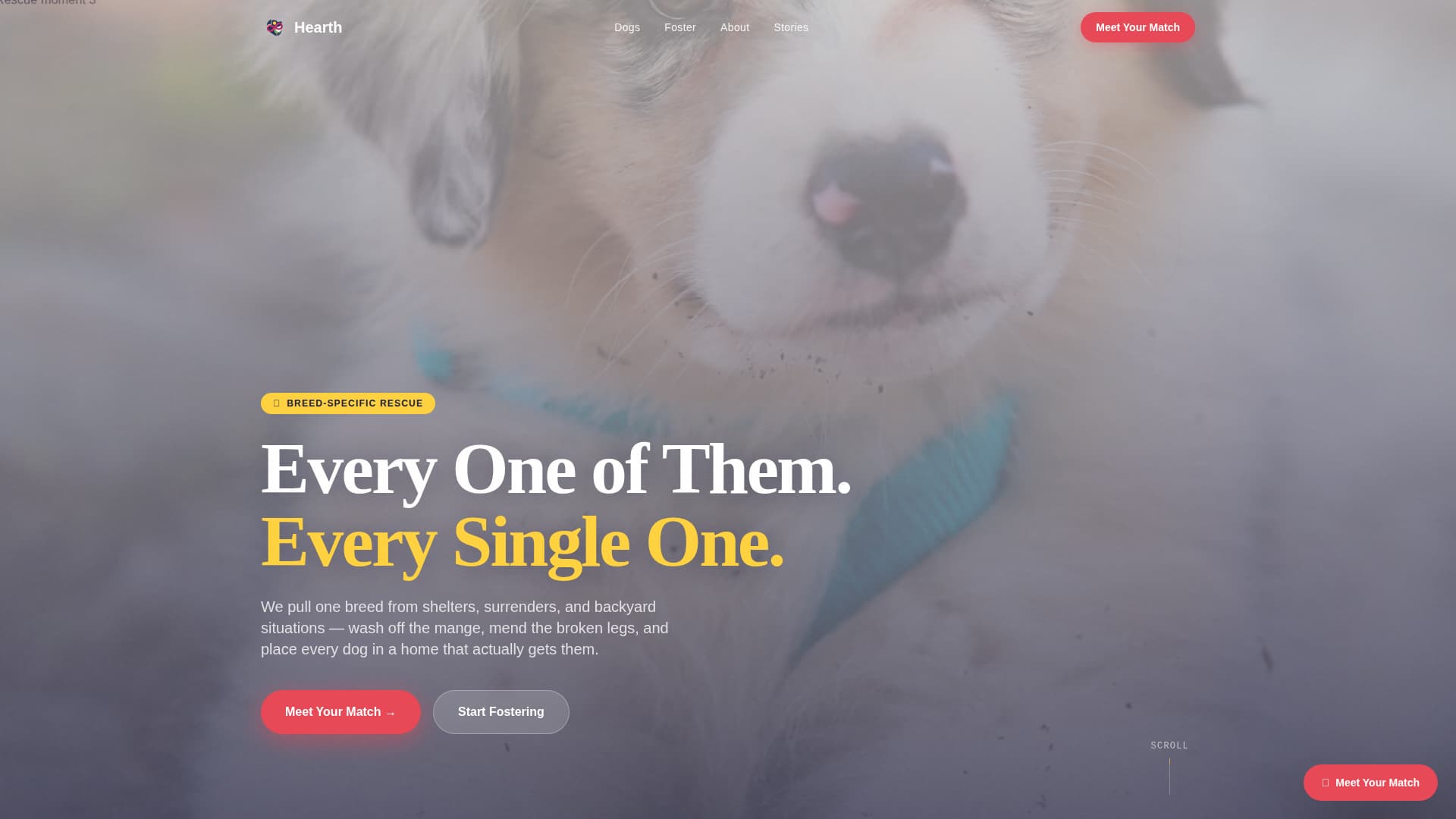 Hearth - Joyful Rescue Landing Page Template