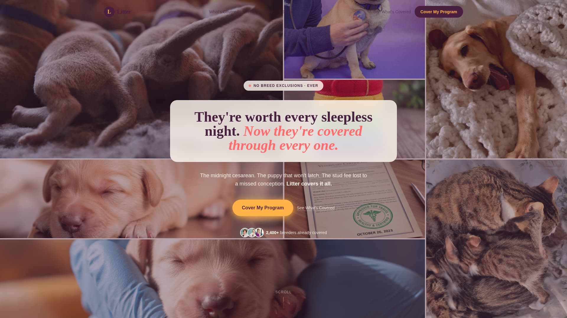 Litter - Trusted Breeder Landing Page Template