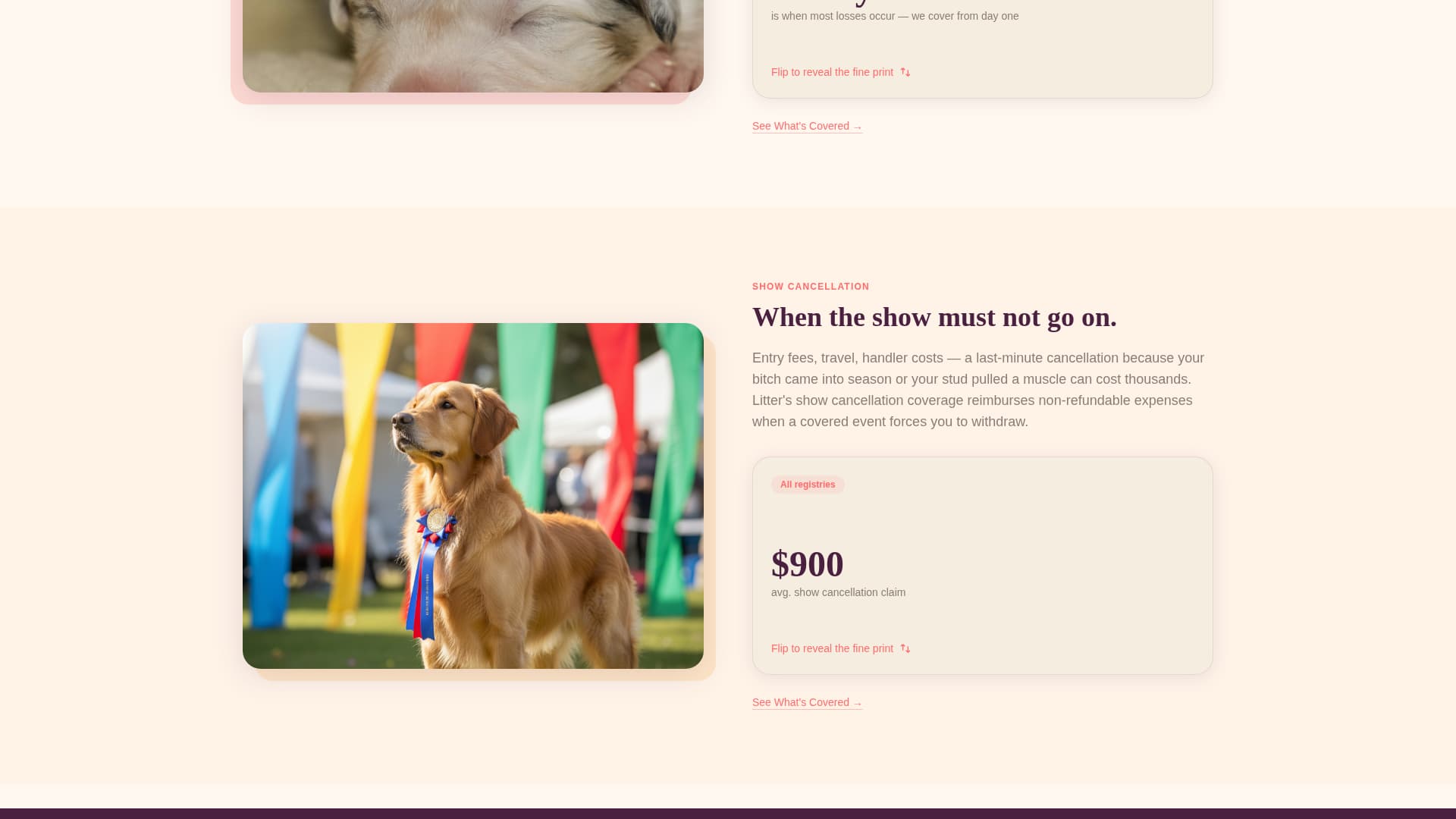 Litter - Trusted Breeder Landing Page Template