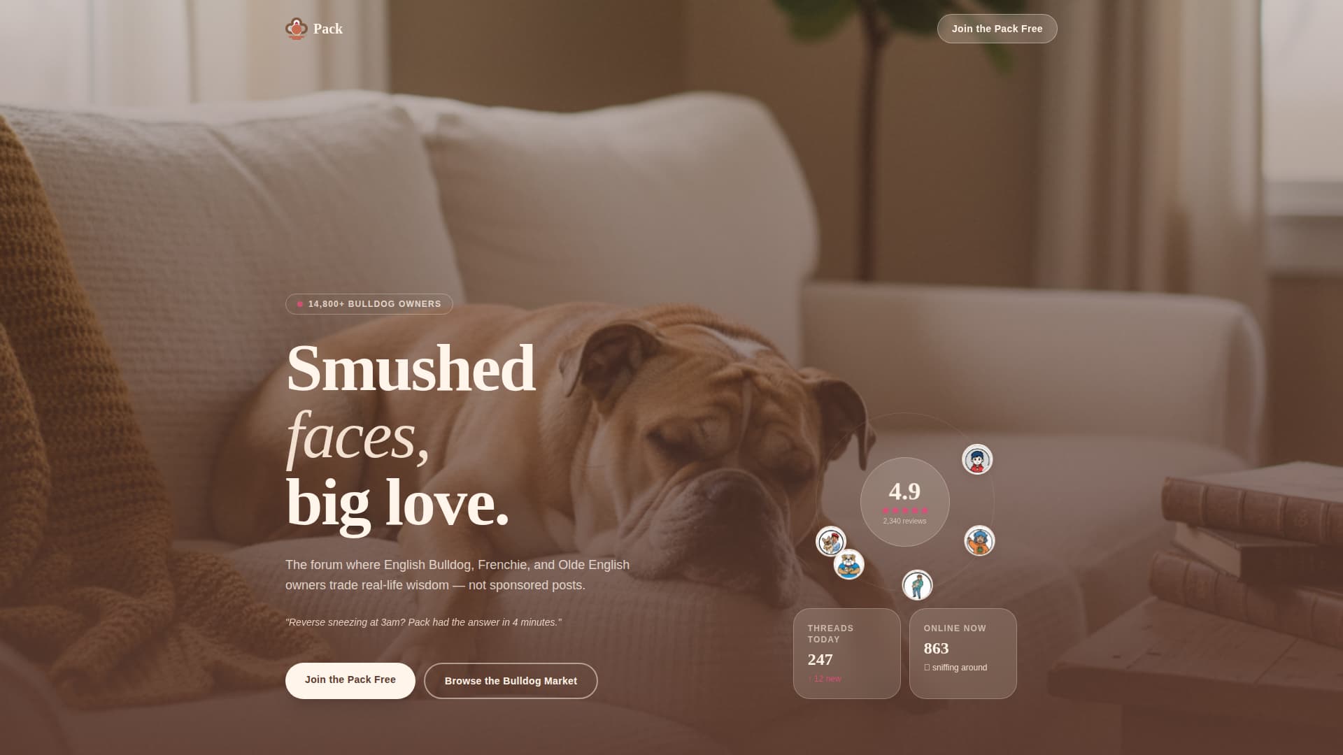 Dog Independent Professional Website Template