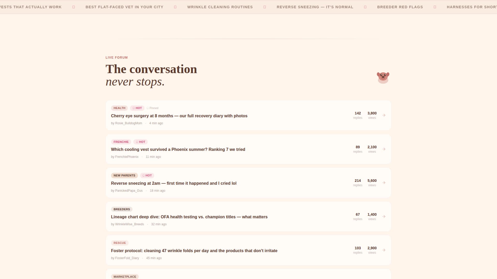 Dog Independent Professional Website Template
