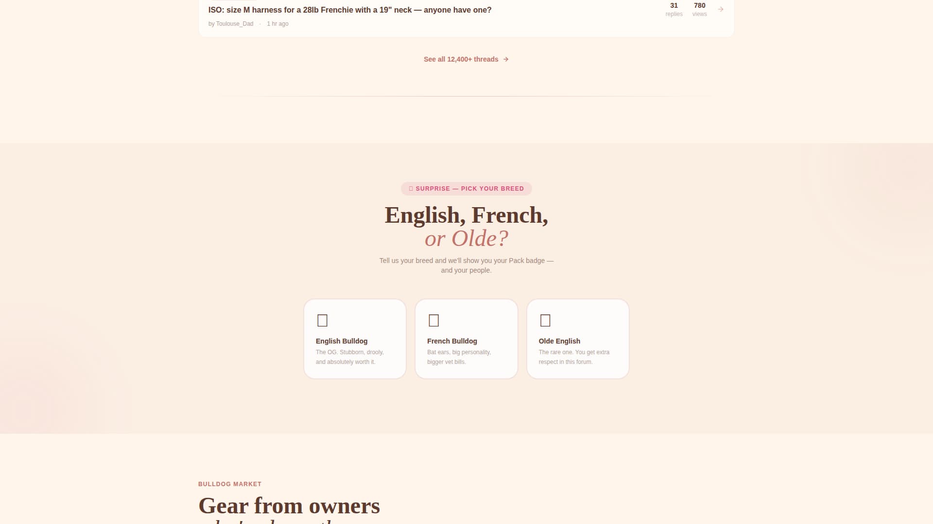 Dog Independent Professional Website Template