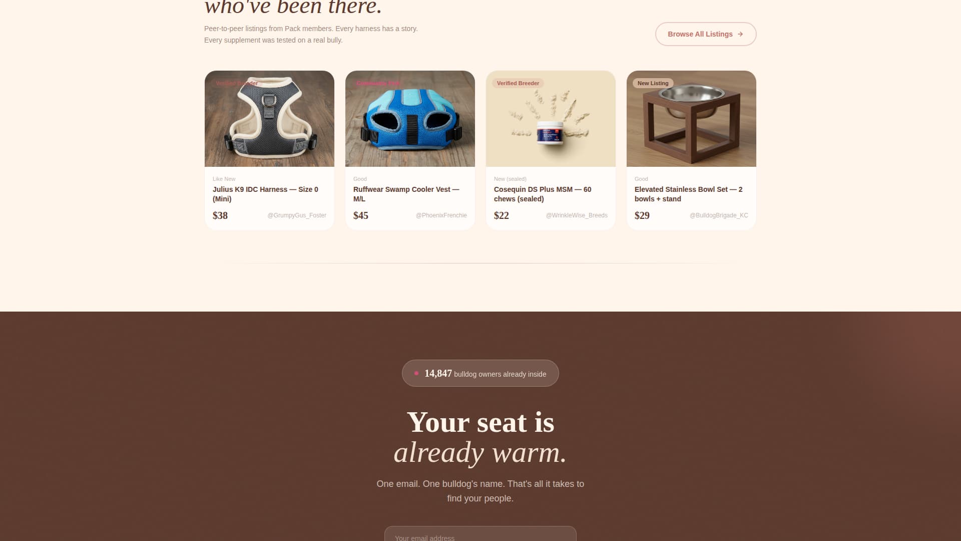 Dog Independent Professional Website Template