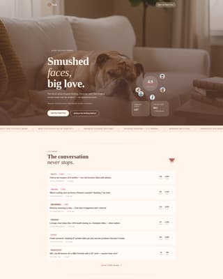 Dog Independent Professional Website Template