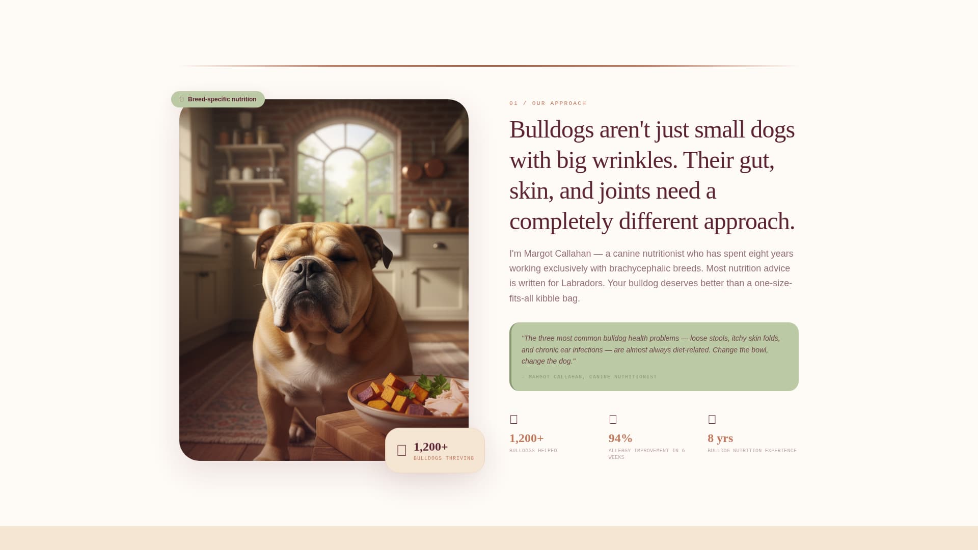 Dog Online Booking Website Template