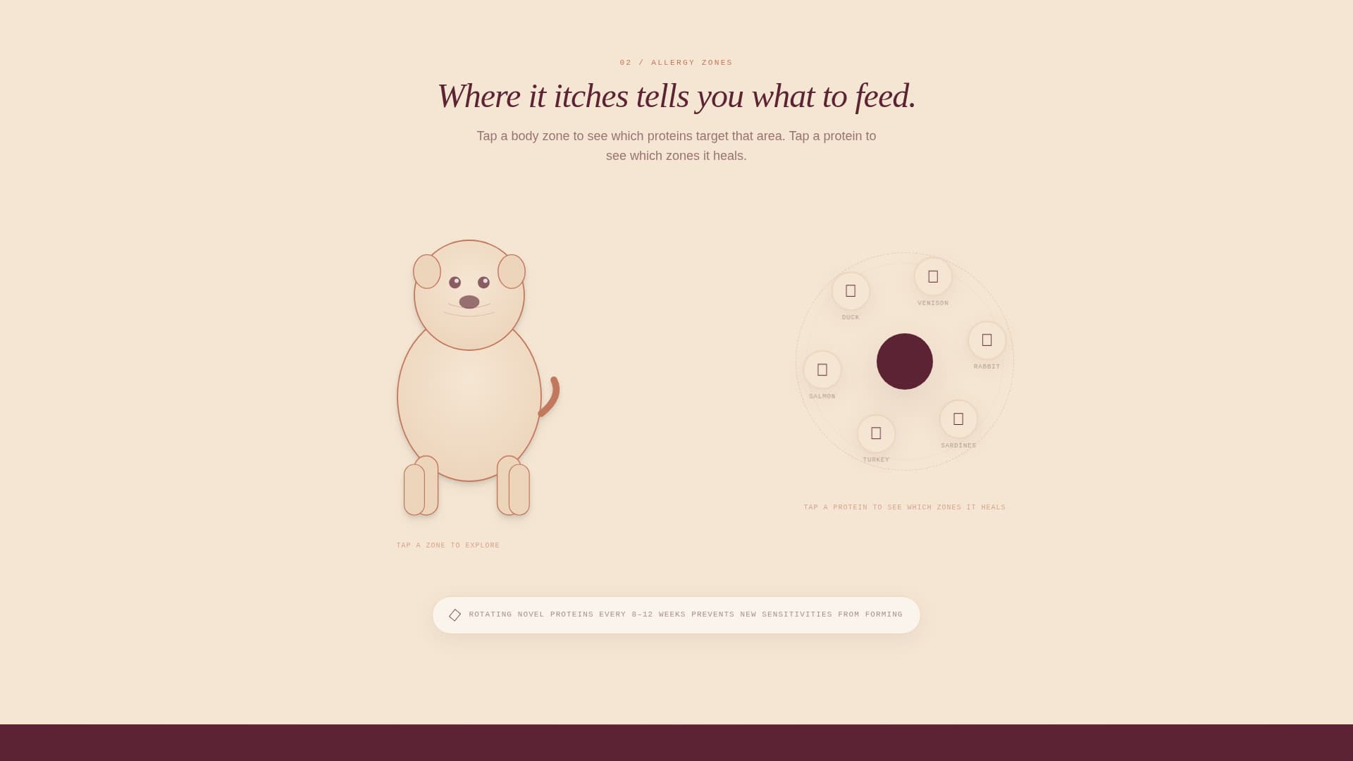 Dog Online Booking Website Template
