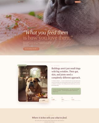 Dog Online Booking Website Template